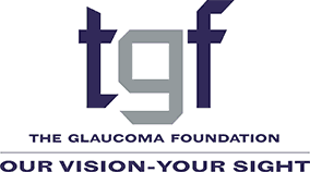 The Glaucoma Foundation