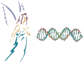 Nacgenetic logo