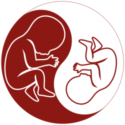 TAPS Support Foundation