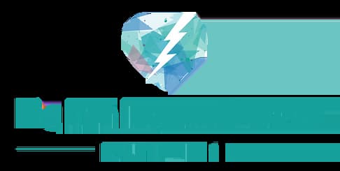 Lightning and Love Foundation logo